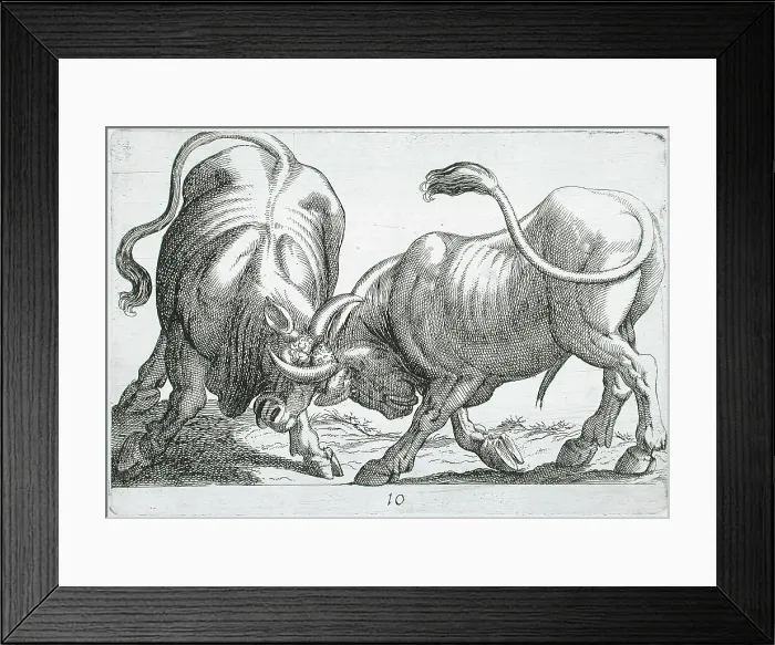 Framed Print : Two Bulls Fighting, 1610. Creator: Hendrick Hondius I Framed Print : Two Bulls Fighting, 1610. Creator: Hendrick Hondius I