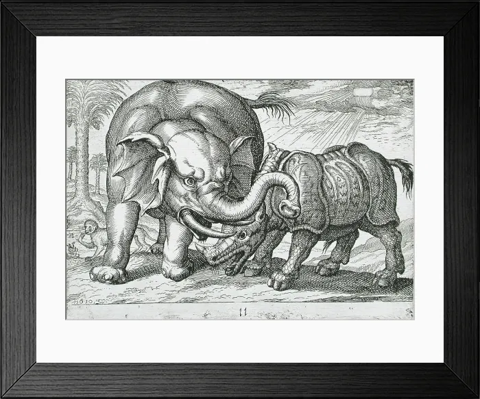 Framed Print : A Rhinoceros Fighting an Elephant, 1610. Creator: Hendrick Hondius I Framed Print : A Rhinoceros Fighting an Elephant, 1610. Creator: Hendrick Hondius I