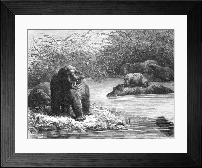 Framed Print : A quiet nook on the Chambeze river; The regions of the Cazembe, 1875. Creator: Unknown Framed Print : A quiet nook on the Chambeze river; The regions of the Cazembe, 1875. Creator: Unknown