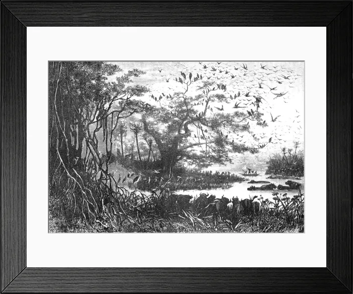 Framed Print : Lake scenery in Central Africa; The regions of the Cazembe, 1875. Creator: Unknown Framed Print : Lake scenery in Central Africa; The regions of the Cazembe, 1875. Creator: Unknown