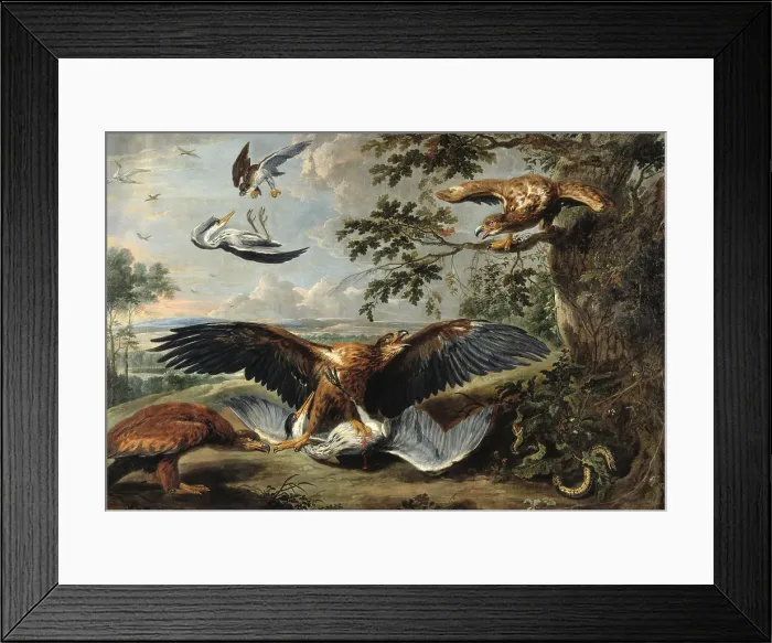 Framed Print : Fight between Eagles, mid-17th century. Creator: Workshop of Pieter Boel Framed Print : Fight between Eagles, mid-17th century. Creator: Workshop of Pieter Boel