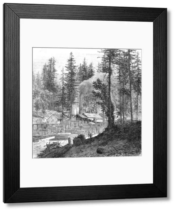 Framed Print : Saw mill in a forest of pines.; Ocean to Ocean, the Pacific railroad, 1875. Creator: Frederick Whymper Framed Print : Saw mill in a forest of pines.; Ocean to Ocean, the Pacific railroad, 1875. Creator: Frederick Whymper