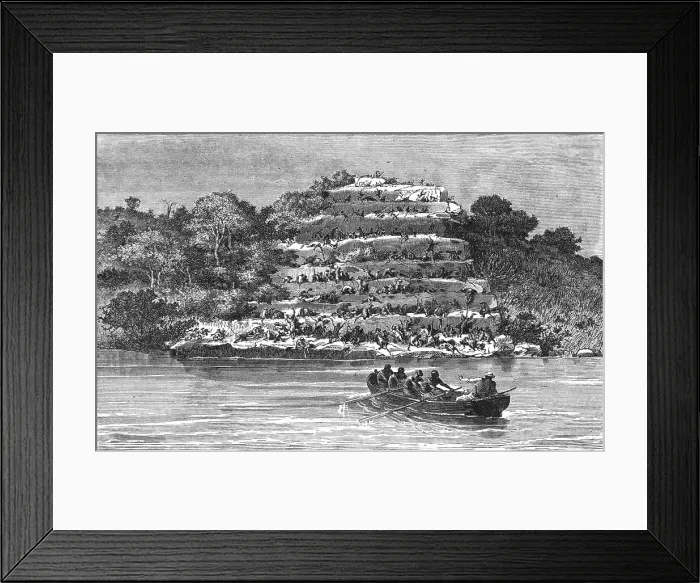 Framed Print : Resort of Apes on the banks of the Senegal; Journey from the Senegal to the Niger, 1875. Creator: Unknown Framed Print : Resort of Apes on the banks of the Senegal; Journey from the Senegal to the Niger, 1875. Creator: Unknown
