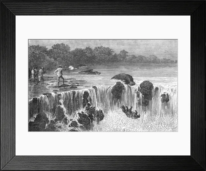 Framed Print : Hippopotami at the falls of the Senegal, in Bambouk; Journey from the Senegal to the Niger, 1875. Creator: Unknown Framed Print : Hippopotami at the falls of the Senegal, in Bambouk; Journey from the Senegal to the Niger, 1875. Creator: Unknown