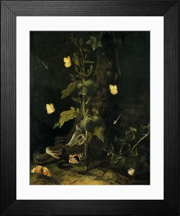Framed Print : Serpent and Butterflies in the Woods, mid-17th century. Creator: Otto Marseus van Schrieck Framed Print : Serpent and Butterflies in the Woods, mid-17th century. Creator: Otto Marseus van Schrieck