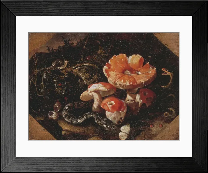 Framed Print : Serpents, Fly Agarics and Thistles, mid-17th century. Creator: Paolo Porpora Framed Print : Serpents, Fly Agarics and Thistles, mid-17th century. Creator: Paolo Porpora