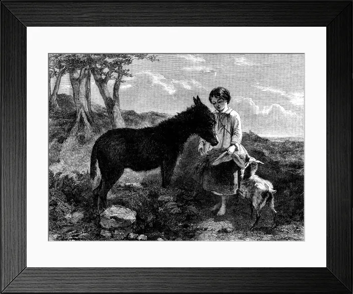 Framed Print : Humble Fare - painted by J. J. Hill, H. Bright, and Earl - from the Flatou Collection, 1858. Creator: Harvey Orrin Smith. Humble Fare - painted by J. J. Hill, H. Bright, and Earl - from the Flatou Collection, 1858 Framed Print : Humble Fare - painted by J. J. Hill, H. Bright, and Earl - from the Flatou Collection, 1858. Creator: Harvey Orrin Smith. Humble Fare - painted by J. J. Hill, H. Bright, and Earl - from the Flatou Collection, 1858