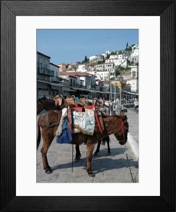 Framed Print : Hydra, Greece, 2003. Creator: Ethel Davies Framed Print : Hydra, Greece, 2003. Creator: Ethel Davies