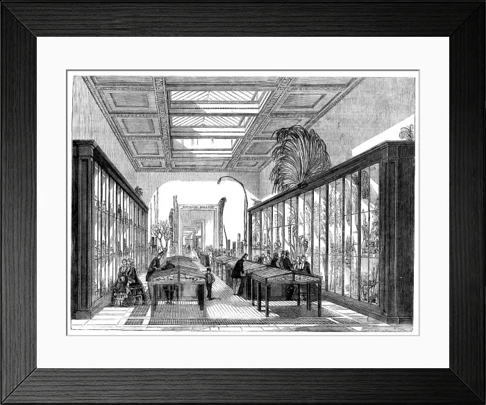 Framed Print : The Newly Opened Botanical Room at the British Museum, 1858. Creator: Unknown Framed Print : The Newly Opened Botanical Room at the British Museum, 1858. Creator: Unknown