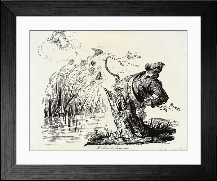 Framed Print : Le chêne et les roseaux, 1834. Creator: Honore Daumier Framed Print : Le chêne et les roseaux, 1834. Creator: Honore Daumier
