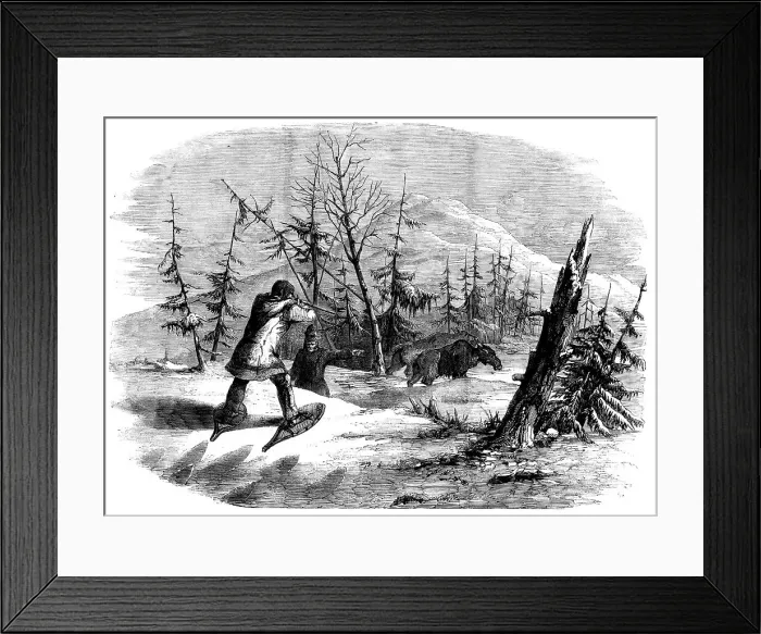 Framed Print : Moose-hunting in Canada - the Attack, 1858. Creator: Unknown Framed Print : Moose-hunting in Canada - the Attack, 1858. Creator: Unknown