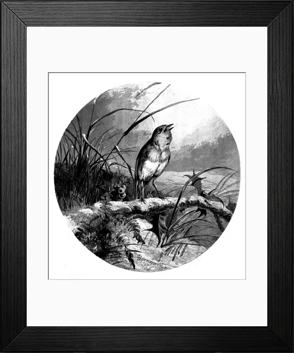 Framed Print : The Christmas Carol Singer - from a painting by Harrison Weir, 1858. Creator: Harrison Weir Framed Print : The Christmas Carol Singer - from a painting by Harrison Weir, 1858. Creator: Harrison Weir
