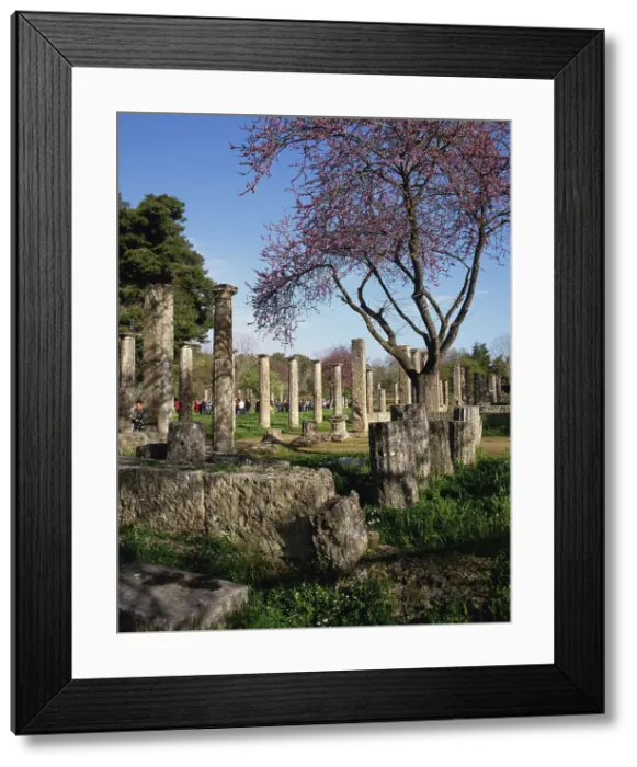 Framed Print : Olympia, Greece, 2019. Creator: Ethel Davies Framed Print : Olympia, Greece, 2019. Creator: Ethel Davies