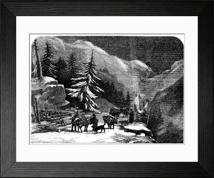 Framed Print : The Ascent of the Great St. Bernard - loading wood for the Hospice near St. Pierre, 1858. Creator: Unknown Framed Print : The Ascent of the Great St. Bernard - loading wood for the Hospice near St. Pierre, 1858. Creator: Unknown
