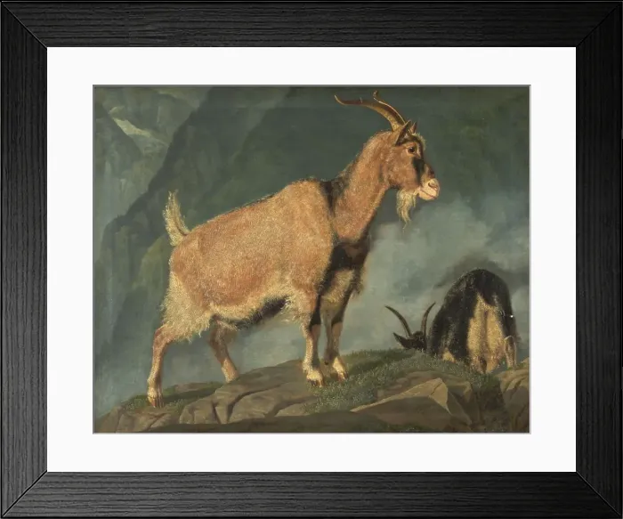 Framed Print : Goats in the Alps, 1834. Creator: Christian Frederik Carl Holm Framed Print : Goats in the Alps, 1834. Creator: Christian Frederik Carl Holm
