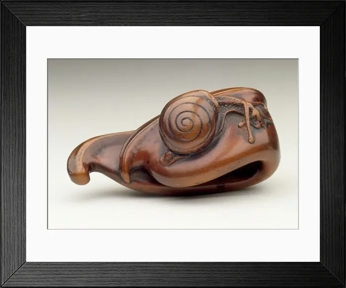 Framed Print : Bean Pod and Snail, 18th century. Creator: Unknown Framed Print : Bean Pod and Snail, 18th century. Creator: Unknown