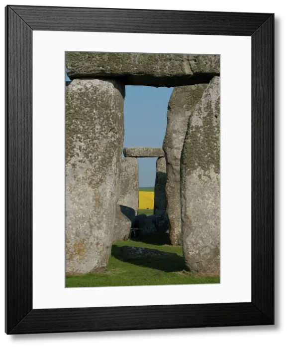 Framed Print : Stonehenge, Wiltshire, England, 2012. Creator: Ethel Davies Framed Print : Stonehenge, Wiltshire, England, 2012. Creator: Ethel Davies