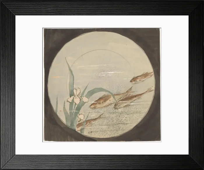 Framed Print : Design for a plate with four brown fish and a white iris, c.1875-c.1890. Creator: Gustave Fraipont Framed Print : Design for a plate with four brown fish and a white iris, c.1875-c.1890. Creator: Gustave Fraipont
