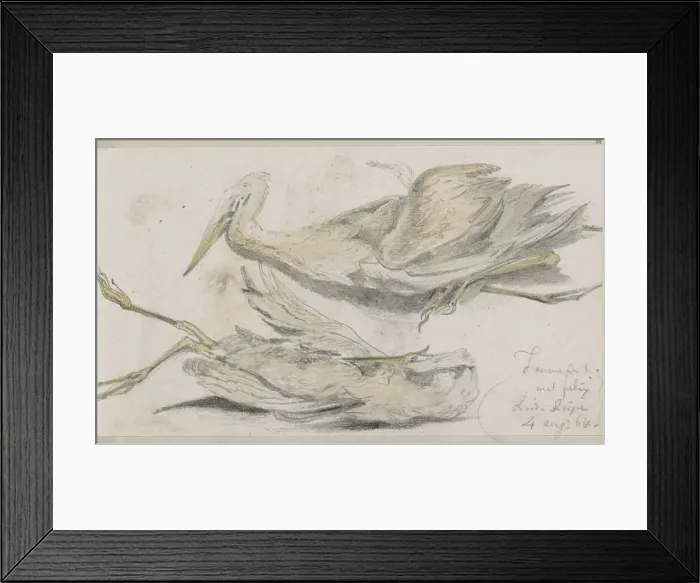 Framed Print : Dead Heron, 1864. Creator: Johannes Tavenraat Framed Print : Dead Heron, 1864. Creator: Johannes Tavenraat