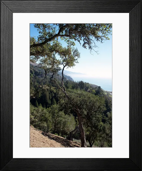 Framed Print : Big Sur, California, USA, 2022. Creator: Ethel Davies
