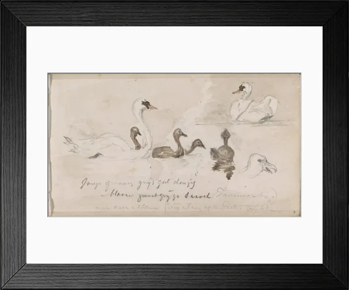 Framed Print : Young and older swans, 1864. Creator: Johannes Tavenraat