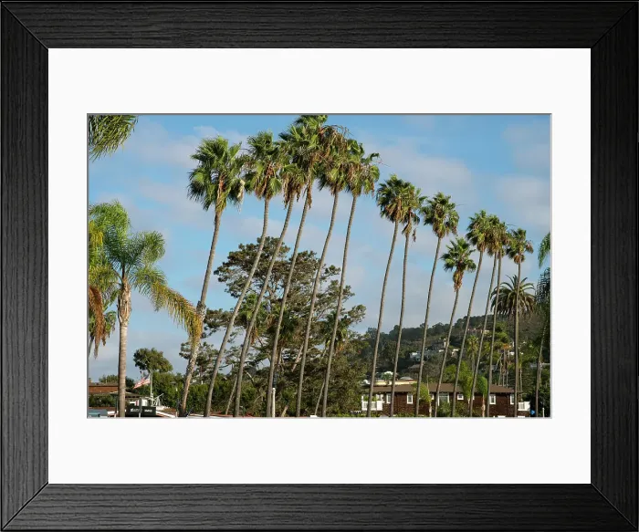 Framed Print : La Jolla, California, USA, 2022. Creator: Ethel Davies Framed Print : La Jolla, California, USA, 2022. Creator: Ethel Davies