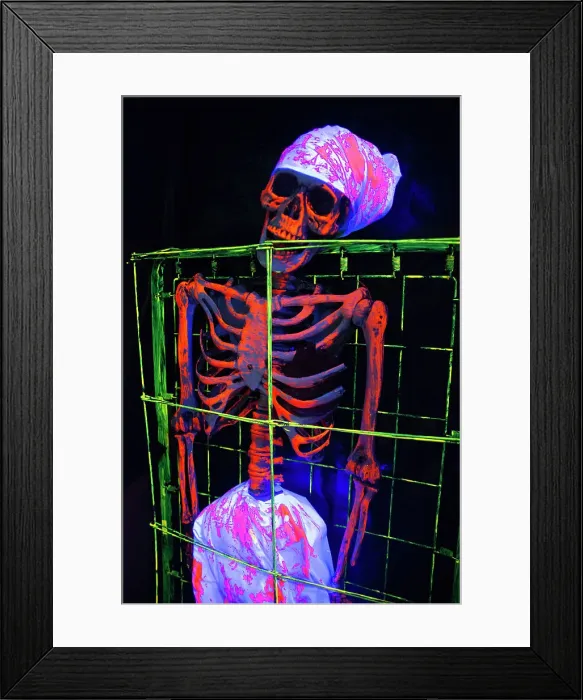 Framed Print : Halloween, San Diego, California, USA, 2022. Creator: Ethel Davies Framed Print : Halloween, San Diego, California, USA, 2022. Creator: Ethel Davies