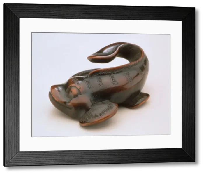 Framed Print : Weird Fish, 19th century. Creator: Unknown Framed Print : Weird Fish, 19th century. Creator: Unknown