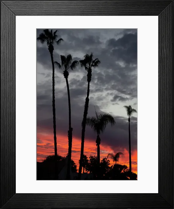 Framed Print : Kensington, San Diego, California, USA, 2022. Creator: Ethel Davies Framed Print : Kensington, San Diego, California, USA, 2022. Creator: Ethel Davies