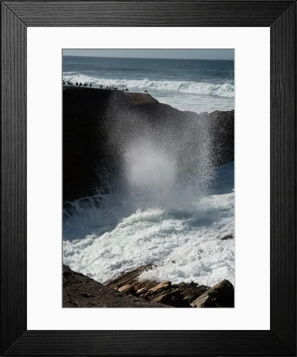 Framed Print : Montana de Oro, San Luis Obispo, California, USA, 2022. Creator: Ethel Davies Framed Print : Montana de Oro, San Luis Obispo, California, USA, 2022. Creator: Ethel Davies