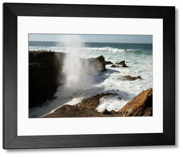 Framed Print : Montana de Oro, San Luis Obispo, California, USA, 2022. Creator: Ethel Davies Framed Print : Montana de Oro, San Luis Obispo, California, USA, 2022. Creator: Ethel Davies