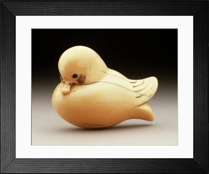 Framed Print : Simplified Mandarin Duck, 19th century. Creator: Unknown Framed Print : Simplified Mandarin Duck, 19th century. Creator: Unknown