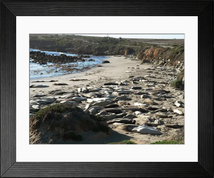 Framed Print : San Simeon, California, USA, 2022. Creator: Ethel Davies Framed Print : San Simeon, California, USA, 2022. Creator: Ethel Davies