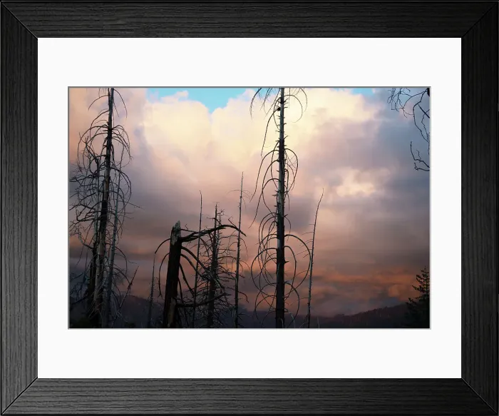 Framed Print : Rim of the World sunset, Yosemite, California, USA, 2022. Creator: Ethel Davies Framed Print : Rim of the World sunset, Yosemite, California, USA, 2022. Creator: Ethel Davies