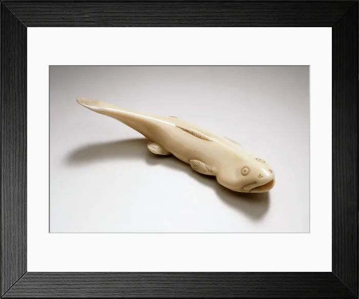 Framed Print : Catfish, 19th century. Creator: Unknown Framed Print : Catfish, 19th century. Creator: Unknown