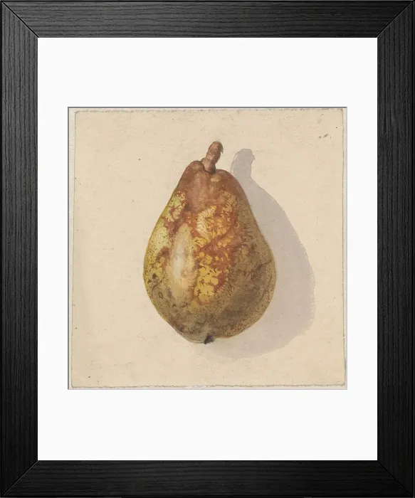 Framed Print : Pear, 1836-1895. Creator: Gerardina Jacoba van de Sande Bakhuyzen Framed Print : Pear, 1836-1895. Creator: Gerardina Jacoba van de Sande Bakhuyzen