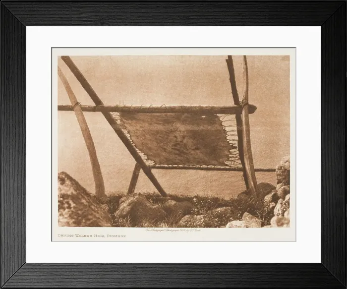 Framed Print : Drying Walrus Hide, 1928. Creator: Edward Sheriff Curtis Framed Print : Drying Walrus Hide, 1928. Creator: Edward Sheriff Curtis