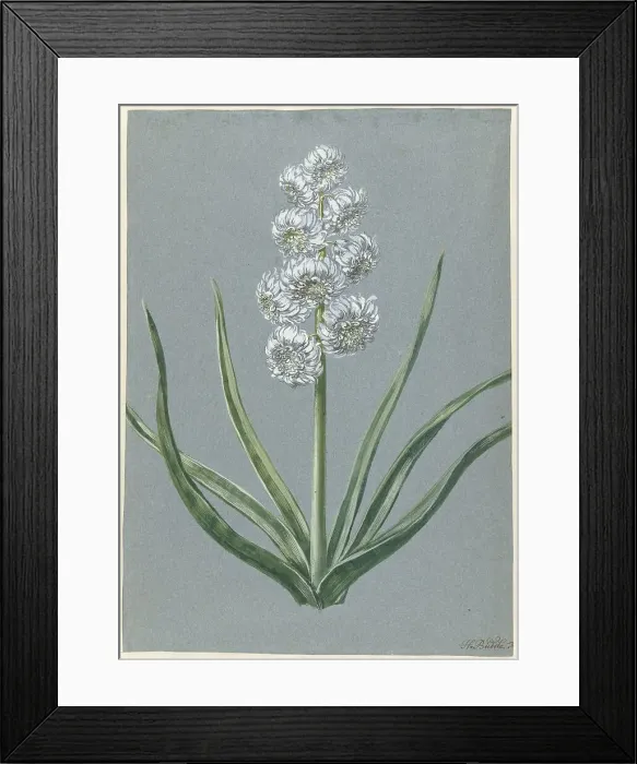 Framed Print : Hyacinth Margrave Charles of Baden Durlach, 1720-1729. Creator: Hendrik Budde Framed Print : Hyacinth Margrave Charles of Baden Durlach, 1720-1729. Creator: Hendrik Budde