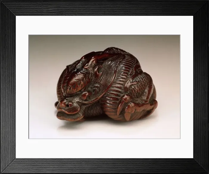 Framed Print : Coiled Dragon, First half of 19th century. Creator: Unknown Framed Print : Coiled Dragon, First half of 19th century. Creator: Unknown