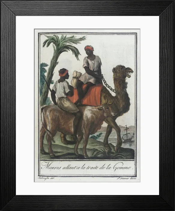 Framed Print : Costumes de Différents Pays, Maures Allant a la Traite de la Gomme, c1797. Creators: Jacques Grasset de Saint-Sauveur, LF Labrousse Framed Print : Costumes de Différents Pays, Maures Allant a la Traite de la Gomme, c1797. Creators: Jacques Grasset de Saint-Sauveur, LF Labrousse