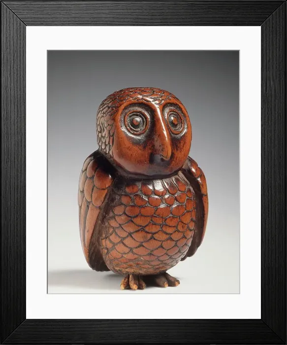 Framed Print : Owl, Late 18th-early 19th century. Creator: Unknown Framed Print : Owl, Late 18th-early 19th century. Creator: Unknown