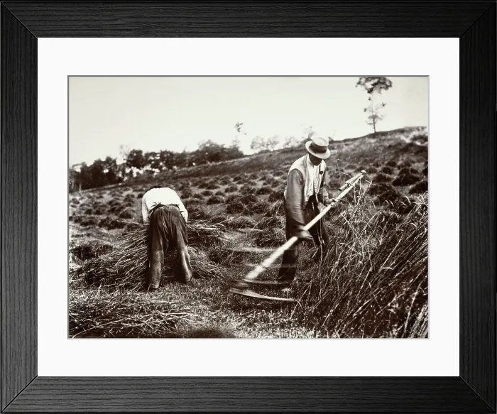 Framed Print : Faucheurs, Somme, 1890s, (1956). Creator: Eugene Atget Framed Print : Faucheurs, Somme, 1890s, (1956). Creator: Eugene Atget