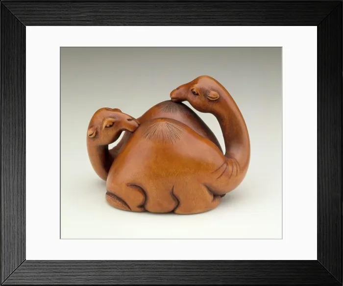 Framed Print : Camel Pair, Late 19th century. Creator: Unknown Framed Print : Camel Pair, Late 19th century. Creator: Unknown