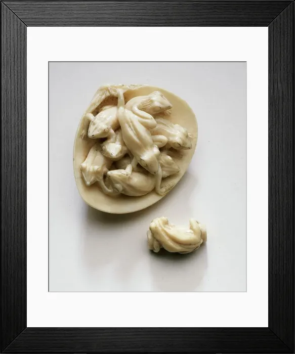 Framed Print : Frogs in Clamshell, Late 19th century. Creator: Unknown Framed Print : Frogs in Clamshell, Late 19th century. Creator: Unknown