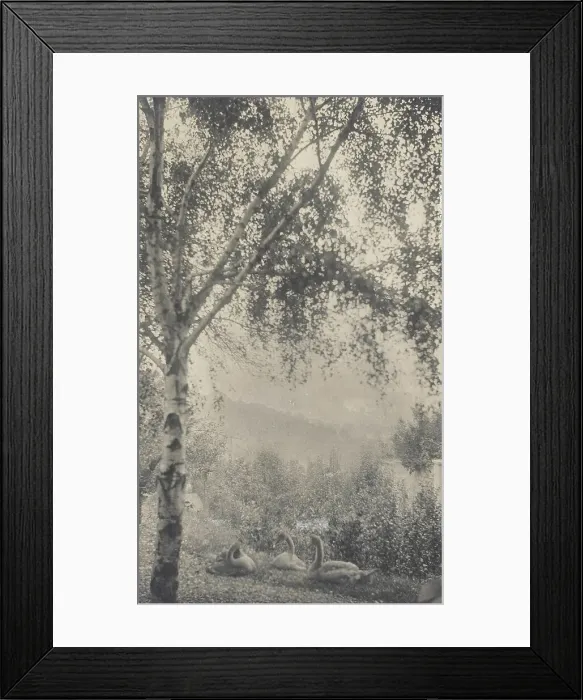 Framed Print : Rodin's Garden, c.1893. Creator: Gertrude Kasebier