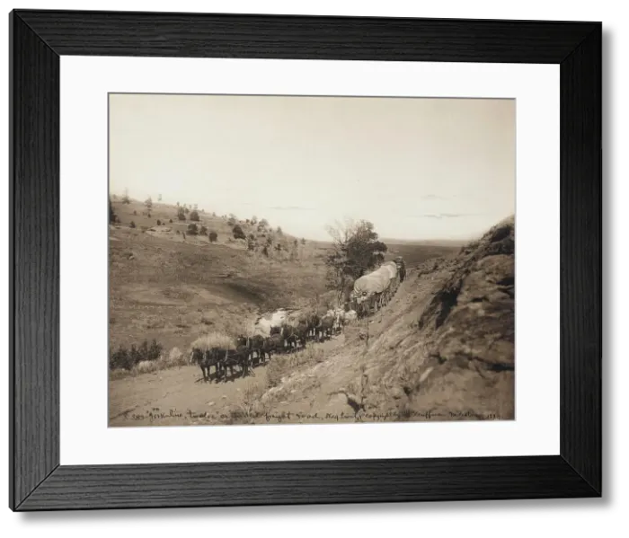Framed Print : Jerk-line 12, on the Old Freight Road, Milestone, Montana, 1883. Creator: Laton Alton Huffman Framed Print : Jerk-line 12, on the Old Freight Road, Milestone, Montana, 1883. Creator: Laton Alton Huffman