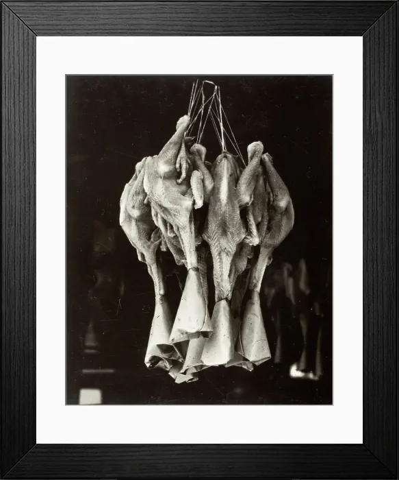 Framed Print : Ducks, Chinatown, Printed 1936. Creator: Lewis Wickes Hine Framed Print : Ducks, Chinatown, Printed 1936. Creator: Lewis Wickes Hine