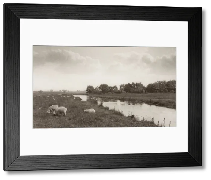 Framed Print : On the River Bure, 1886. Creator: Peter Henry Emerson Framed Print : On the River Bure, 1886. Creator: Peter Henry Emerson