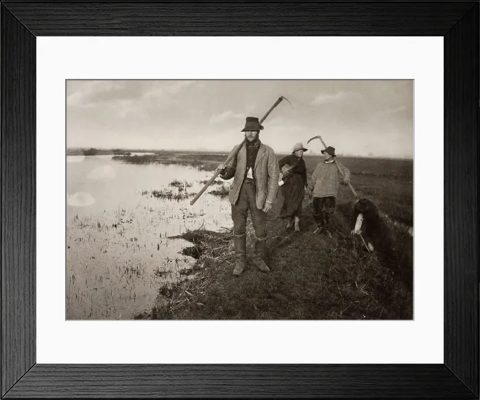 Framed Print : Coming Home from the Marshes, 1886. Creator: Peter Henry Emerson Framed Print : Coming Home from the Marshes, 1886. Creator: Peter Henry Emerson