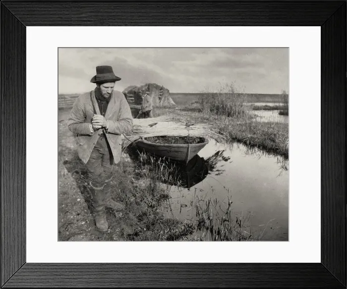Framed Print : Towing the Reed, 1886. Creator: Peter Henry Emerson Framed Print : Towing the Reed, 1886. Creator: Peter Henry Emerson